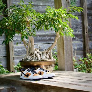 Miyagi Do Dunk Low