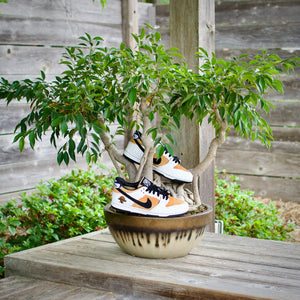 Miyagi Do Dunk Low